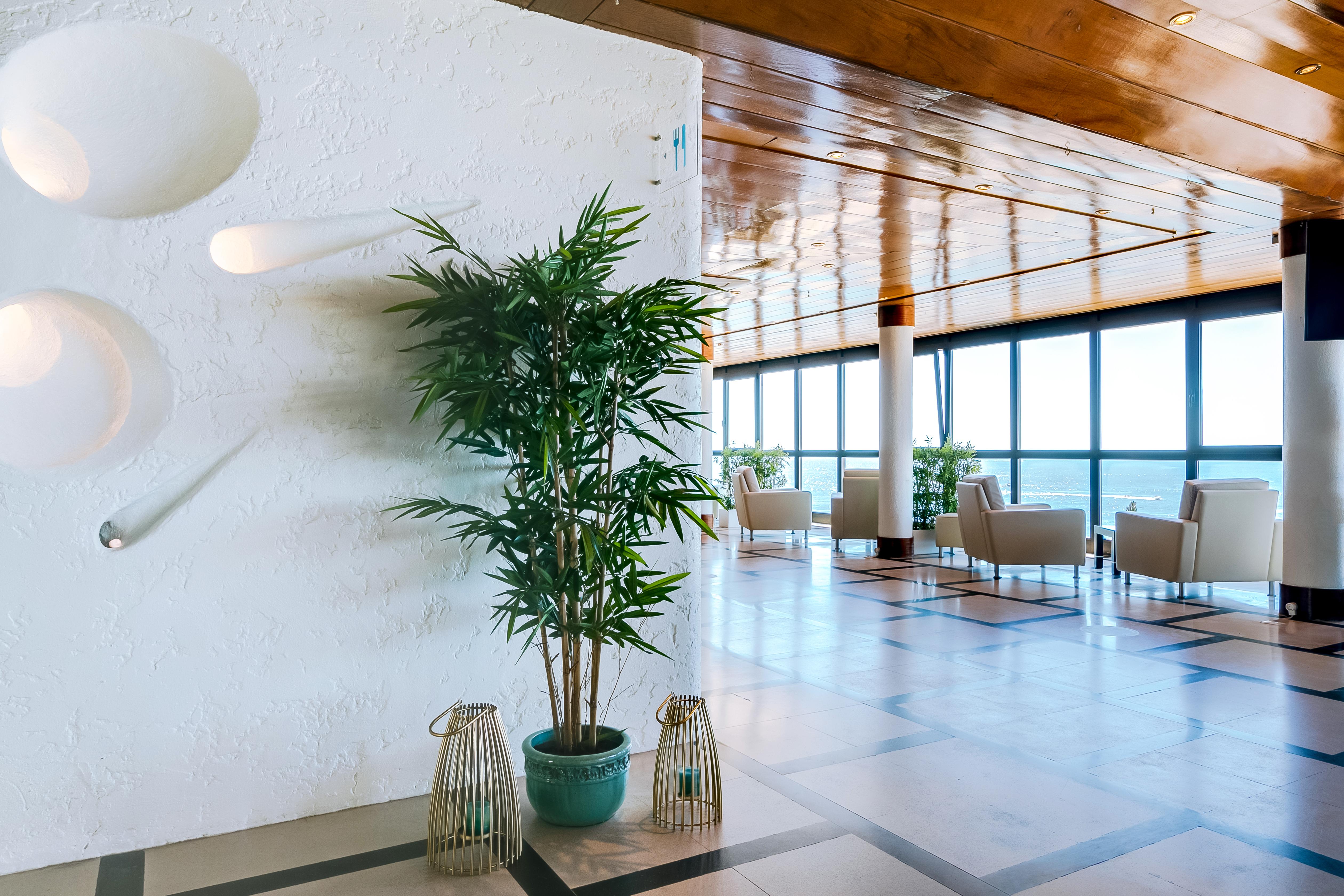 Hotel Sol E Mar Albufeira - Adults Only מראה חיצוני תמונה